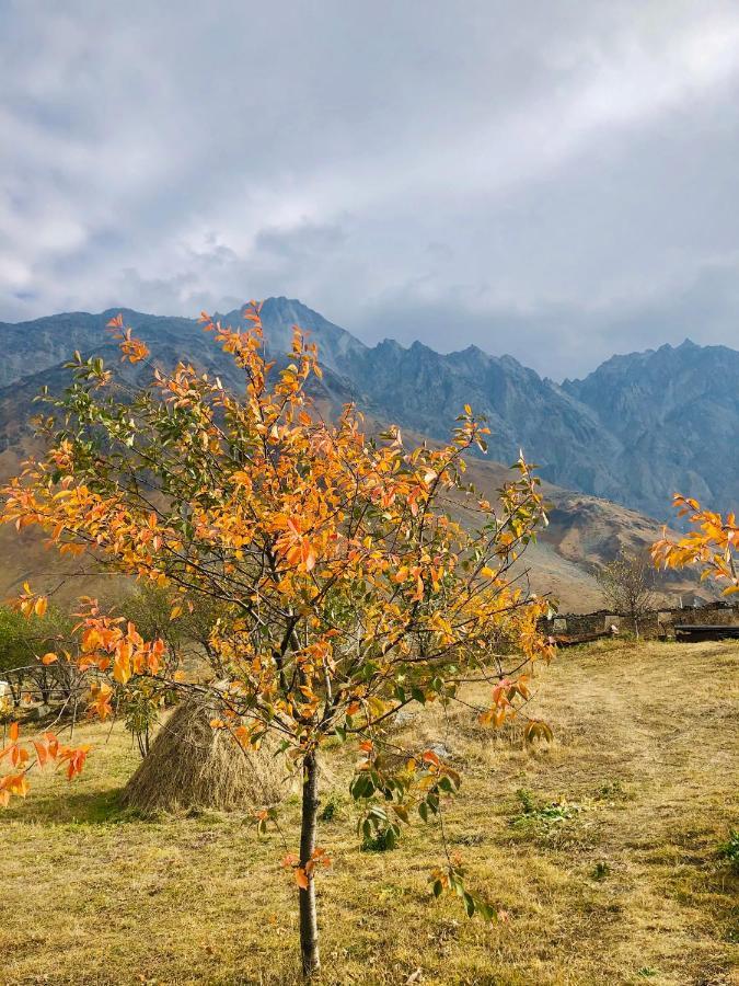 Mikheil Pitskhelauri Guest House Kazbegi Exterior photo